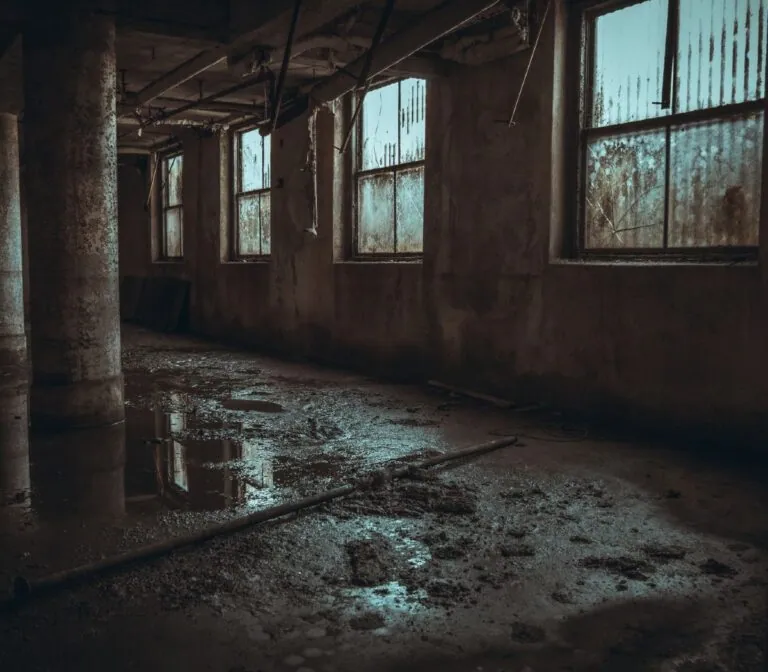 5 Principles Used to Dry Out a Water Damaged Building
